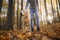 Man with dog during autumn walk in forest