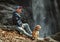 Man with dog sitting near waterfall