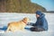 The man with the dog sitting in a snowy field