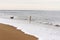 Man and dog walk in to water at Salisbury Beach, Massachusetts