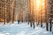 A man and a dog are walking along a road in a snowy forest