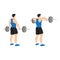 Man doing barbell upright row exercise flat vector