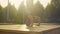 A man doing headstand in the park