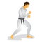 man doing karate. Vector illustration decorative design