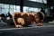 Man doing push ups in a gym. Exhaling and inhaling after push-ups and exercise. Perfect for fitness and workout. Young sports man