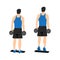 Man doing Standing dumbbell calf raises exercise. Flat vector illustration