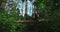 Man doing yoga outdoors in the wood, lotus pose, meditating in wild, harmony and balance