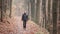 Man dressed in black walking alone in a forest or park in fall or winter