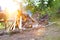 Man drinking beer while sitting on bench at park with bonfire