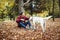 Man drinking coffee and playing with dog