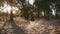 Man driving atv on sand in forest at sunset. Man driving quad bike in park