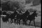 Man driving horse drawn wagon on country road