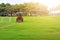 A man driving a lawn mower  On a large football field, in the morning time, outdoors, gardening ideas