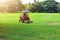 A man driving a lawn mower  On a large football field, in the morning time, outdoors, gardening ideas