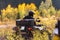 A man driving a quad ATV motorcycle through beautiful meadow landscapes