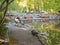 Man at Duck Pond in Autumn