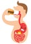 Man eating burger, stomach has heartburn. Proper nutrition