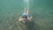 Man enjoys his vacation in tropics diving in ocean on sand beach with palms.