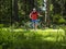 Man enjoys riding mountain bike in the forest