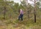 Man enjoys swamp landscapes, hike in swamp with snowshoes, traditional mire plants, swamp background, bog texture