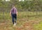 Man enjoys swamp landscapes, hike in swamp with snowshoes, traditional mire plants, swamp background, bog texture