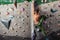 Man exercise bouldering and climbing indoor