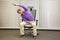 Man exercising on chair in office, healthy lifestyle