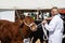 Man exhibiting large white Shire Horse at agricultural show