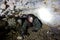 Man explores narrow cavern passage in abandoned underground limestone mine