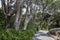 A man exploring in Wellington Botanic Garden, the largest public park in town, New Zealand