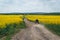 Man extreme sport riding touring enduro motorcycle on dirt. beautiful yellow field of flowers. World adventure rider. Tourist bike