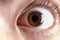 Man eye pupil iris cornea