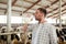 Man or farmer drinking cows milk on dairy farm