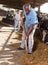 Man farmer feeds on hay cow, woman working on background at farm