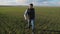 Man farmer red a neck in cap is walking on a green field. spring harvest agriculture concept. male walks on winter wheat