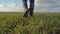 Man farmer a red neck feet in rubber boots in cap is walking on a green field bottom view. spring harvest agriculture