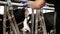 Man or farmer stroking cow in cowshed on farm