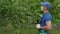 Man farmer worker spraying pesticide treatment on fruit garden