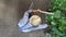 Man farmer working in vegetable garden, check a plants of cucumber, top view and copy space