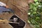 Man farmer working in vegetable garden, wheelbarrow full of fer