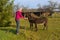 Man feeding couple easels in meadows