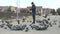 Man feeding flock of pigeons and sparrows