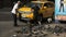 Man feeding pigeons in New York