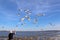 Man feeding sea gulls from a Jamestown-Scotland Ferry boat