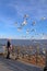 Man feeding sea gulls from a Jamestown-Scotland Ferry boat