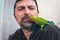 Man feeds green parrot with mouth, parrot agapornis roseicollis