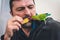 Man feeds green parrot with mouth, parrot agapornis roseicollis