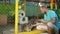 Man feeds two raccoons through the net of a zoo cage, animal holds man`s hands