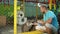 Man feeds two raccoons through the net of a zoo cage, animal holds man`s hands