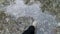 Man feet with hairy legs crossing cold mountain stream. Clip. Top view of male bare legs walking through cold river with